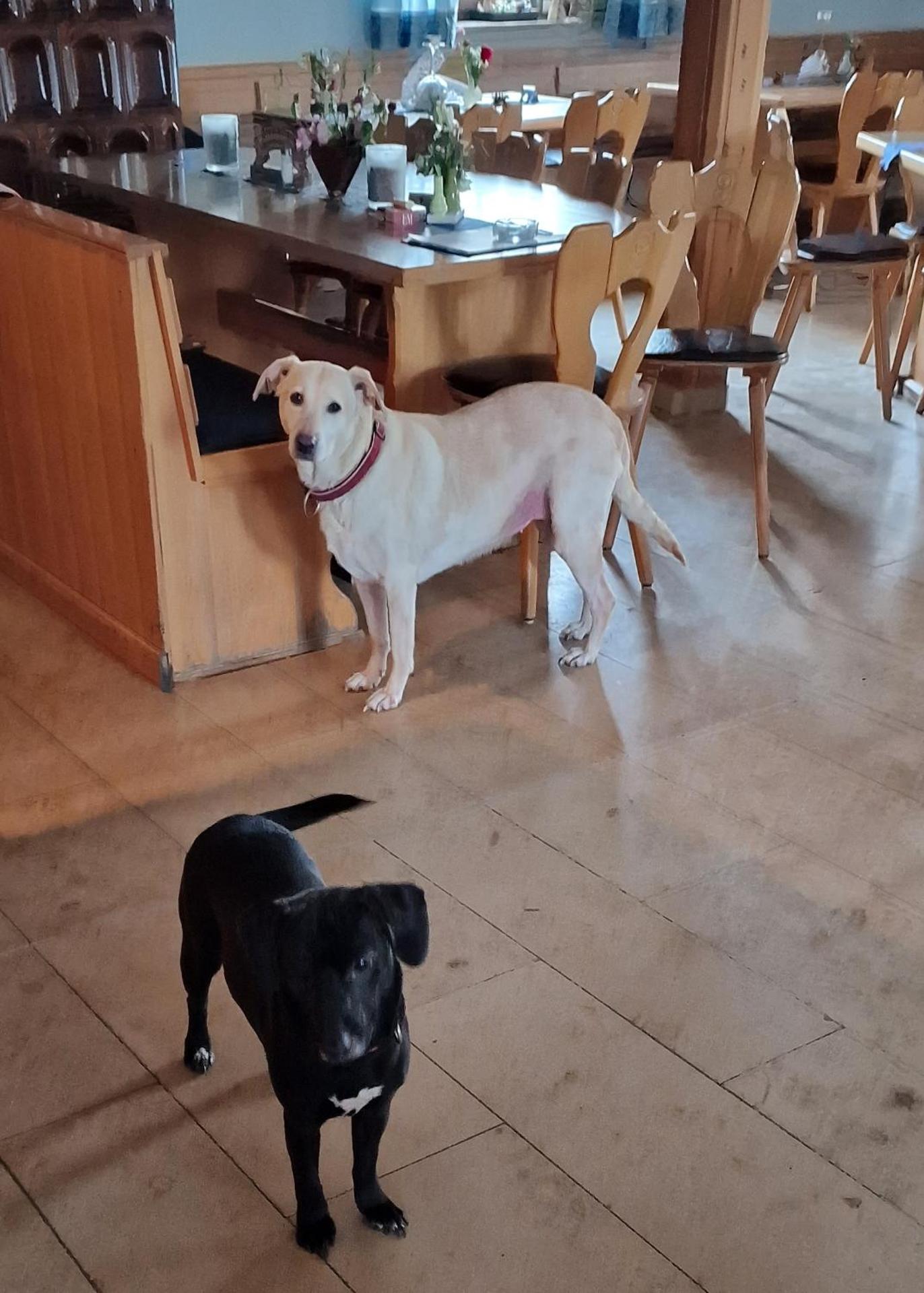 Landgasthof zum Angerwirt