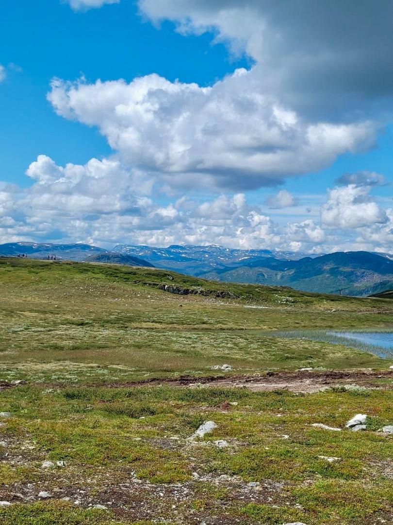 Brand new cabin at Hovden cross-country skiing