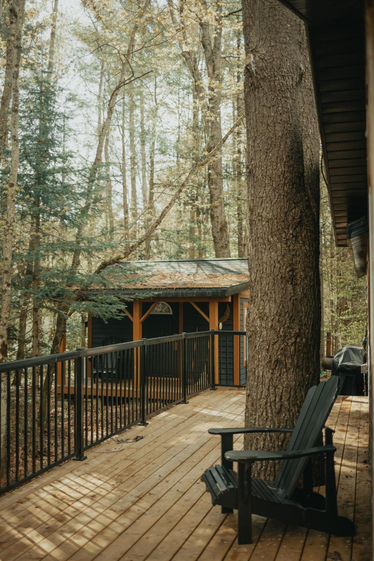 The Doma Lodge - Cozy Muskoka Cabin in the Woods
