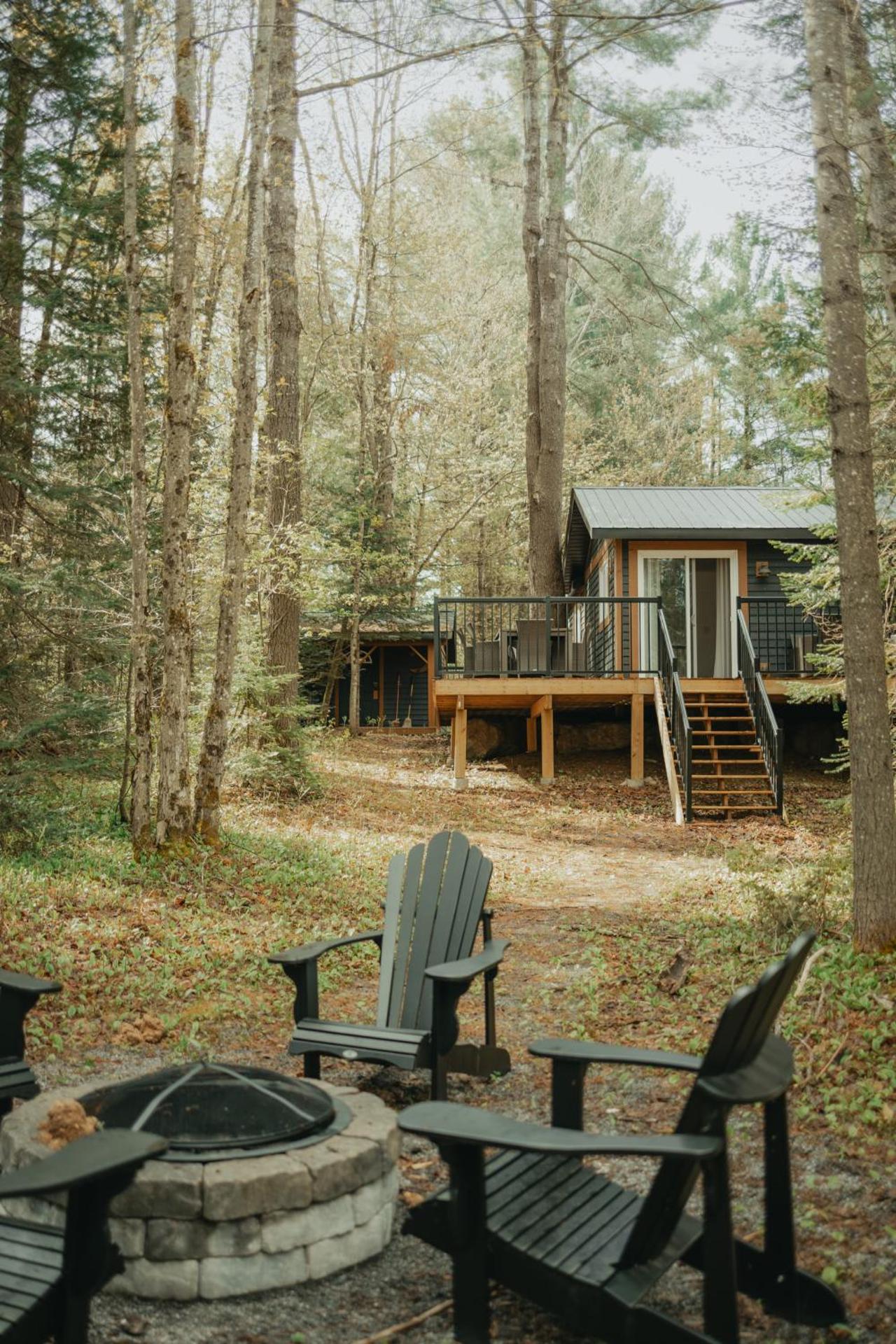 The Doma Lodge - Cozy Muskoka Cabin in the Woods