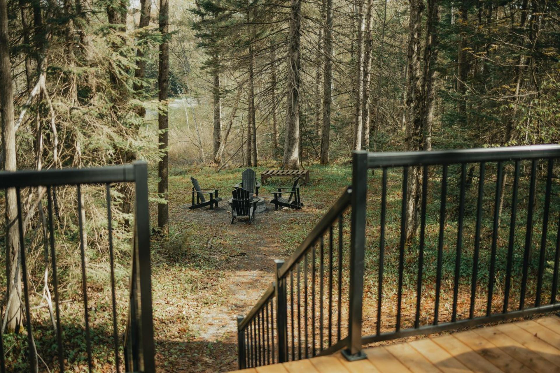 The Doma Lodge - Cozy Muskoka Cabin in the Woods