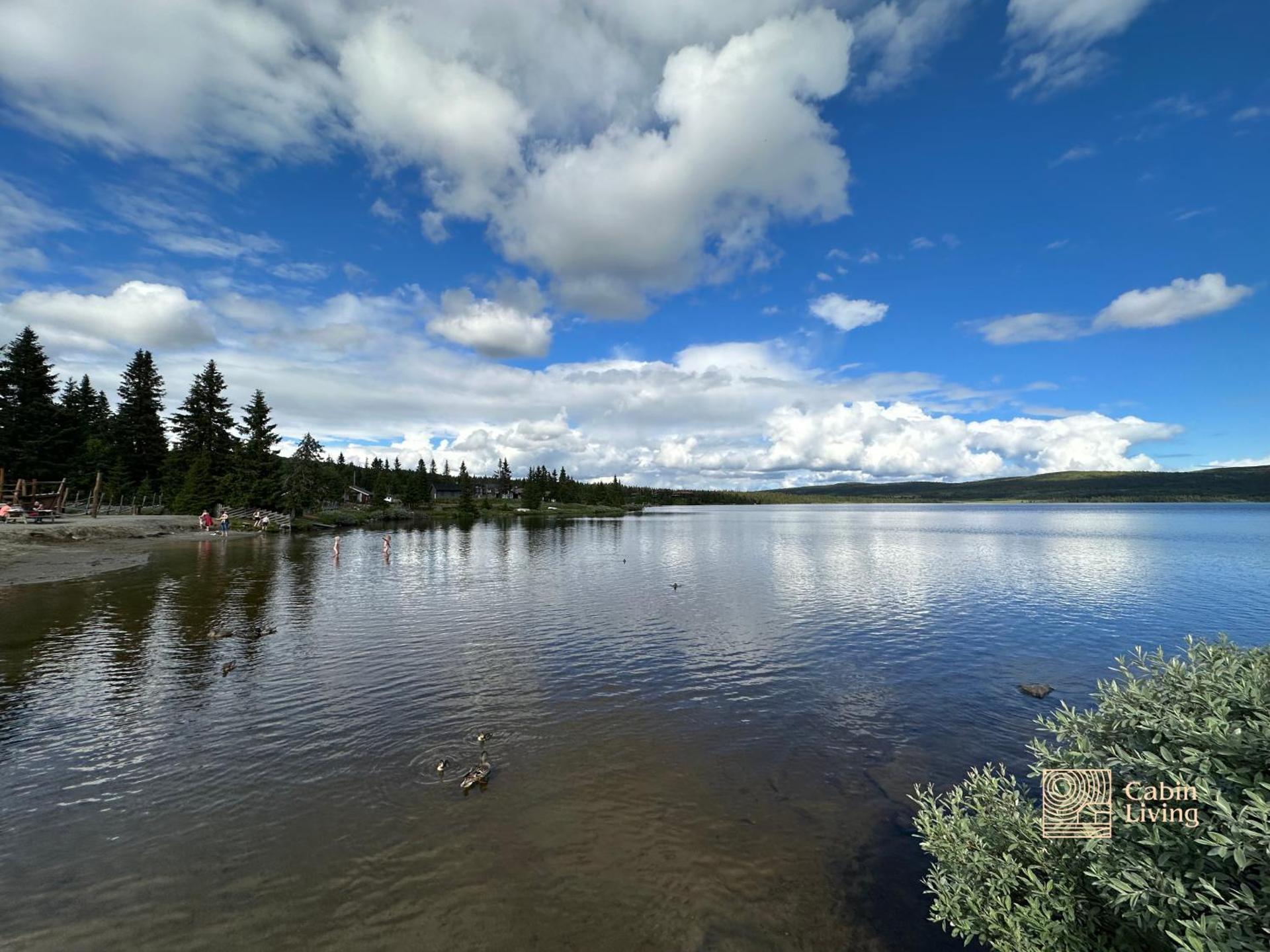 Large Cottage 2 Baths and Sauna in Sjusjøen