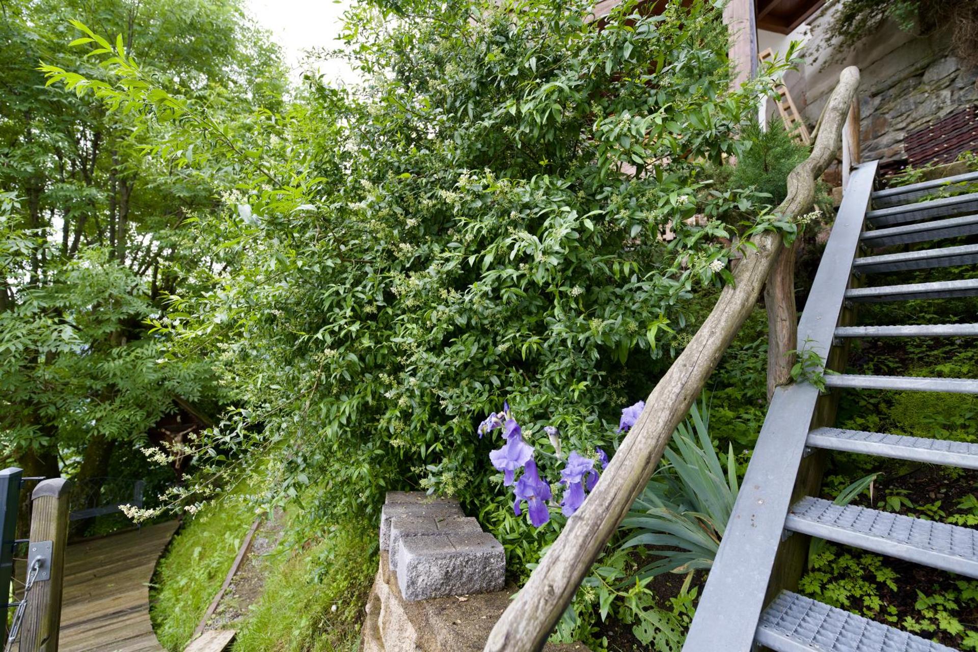 Apart Alpine Retreat 2