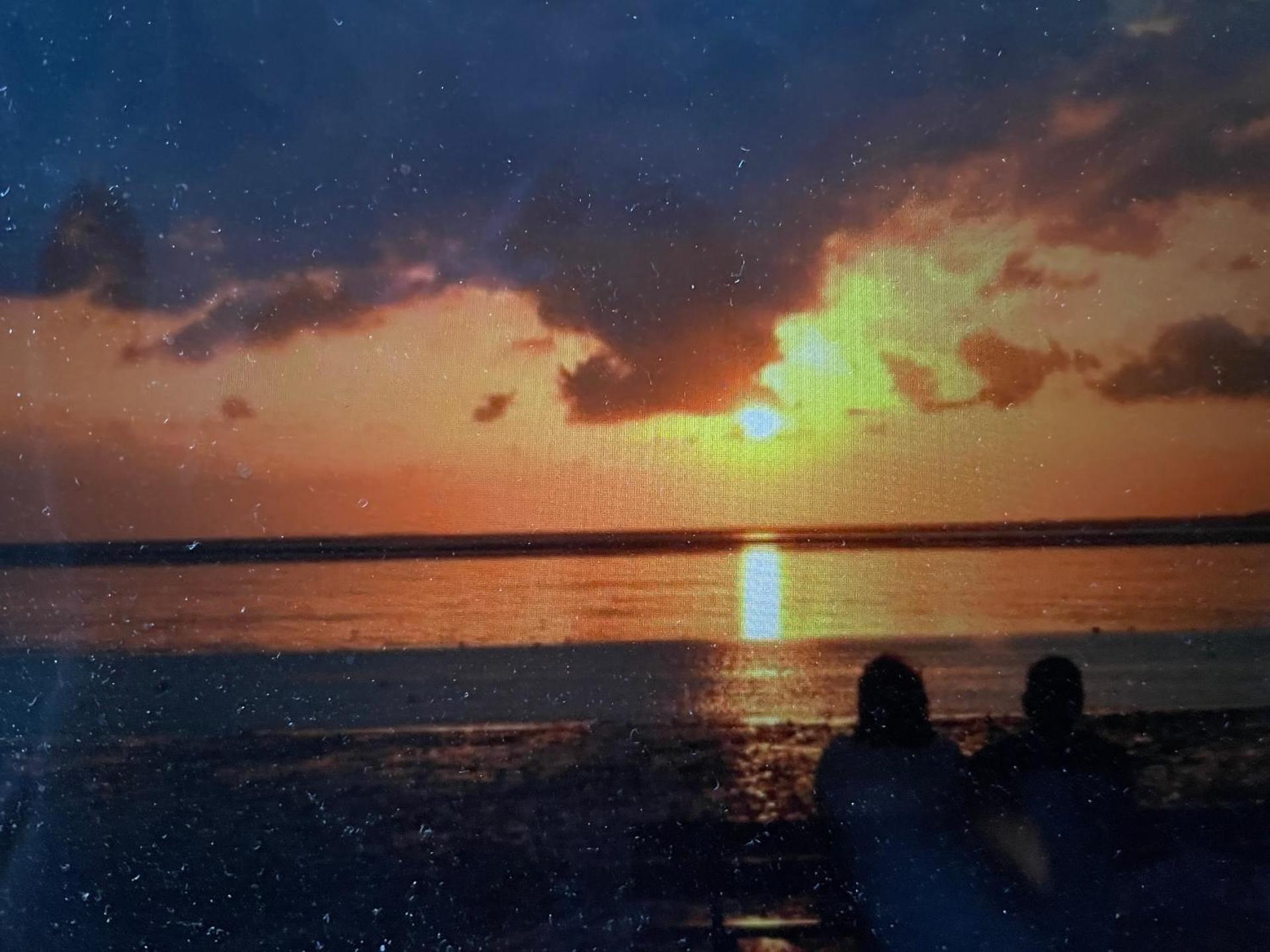 Nordseeküste am Deich mit schönem Garten