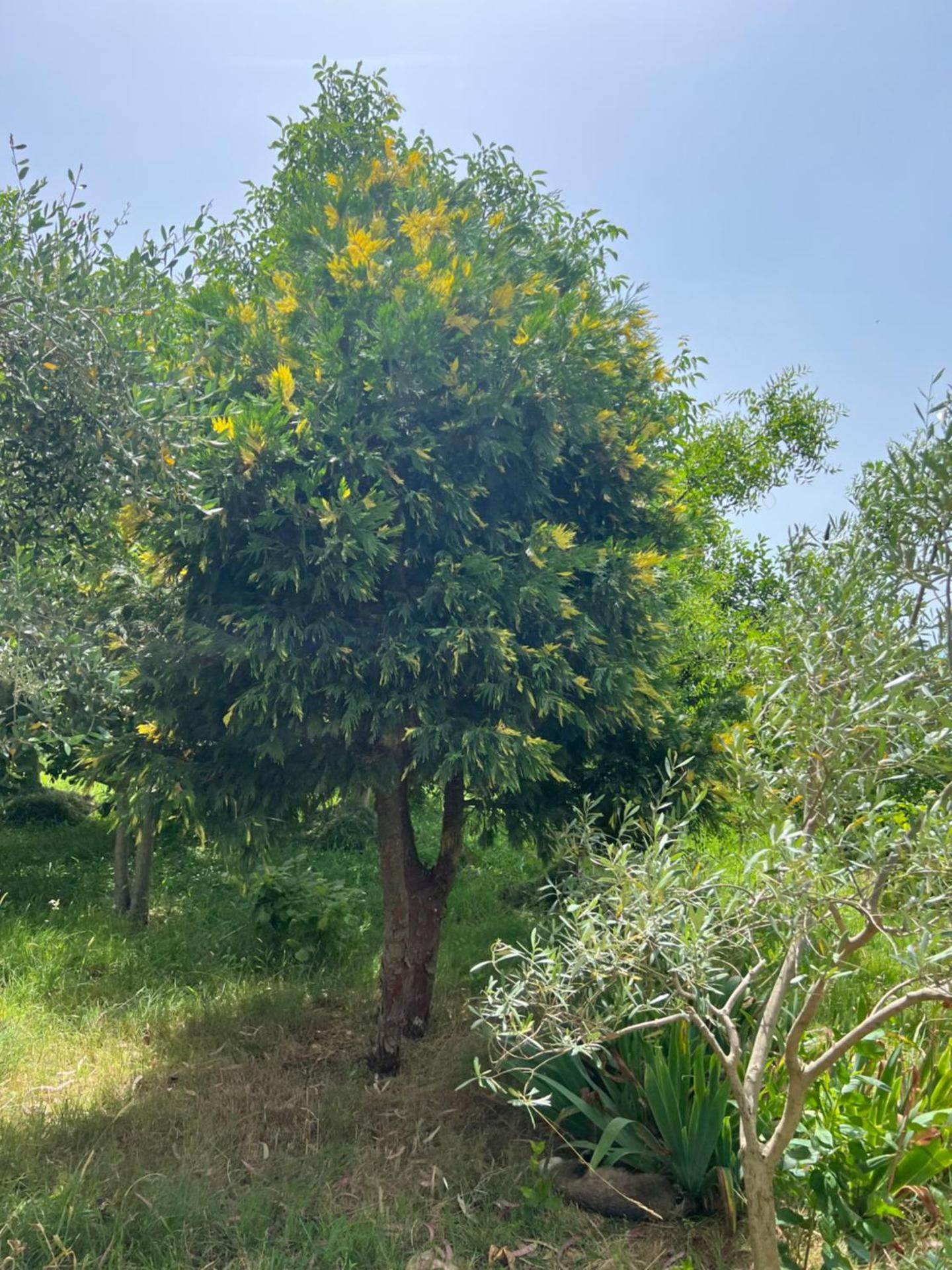 Camping villa lake shkodra