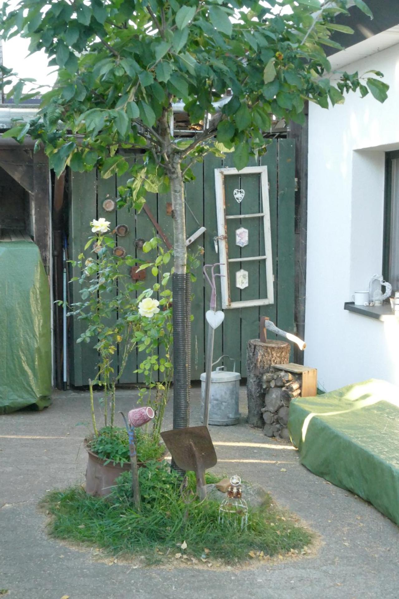 Ferienhaus mit Minibauernhof