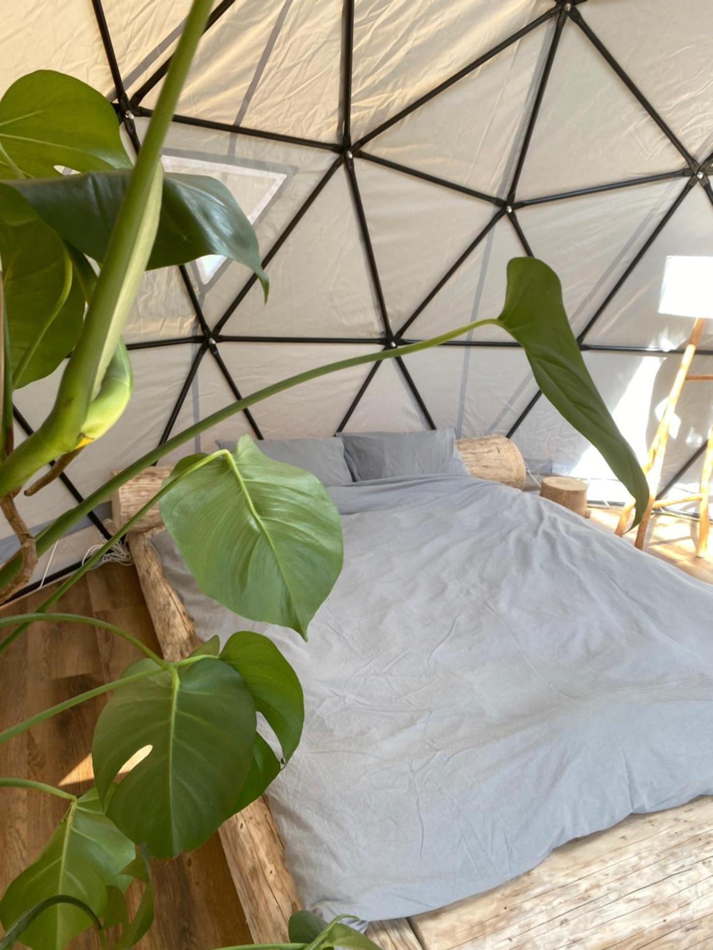 Lepiej trafić nie mogliście