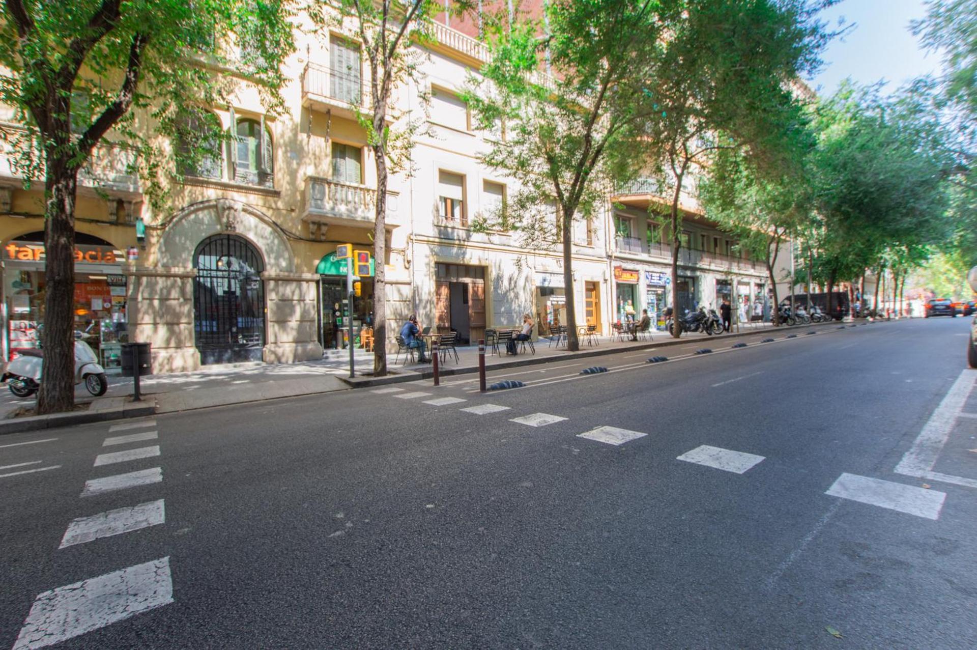 Barcelona Classic Eixample Apartments