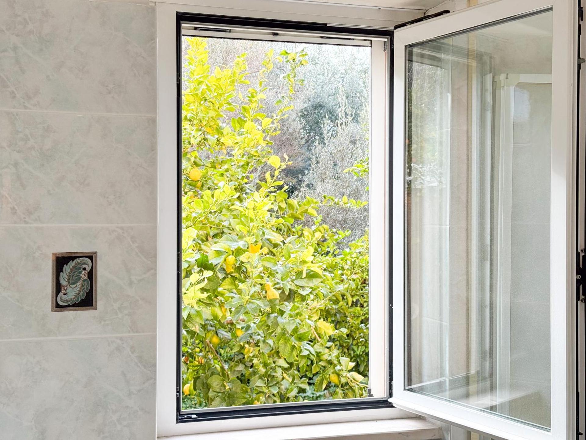 Mare, Monti e Limoni