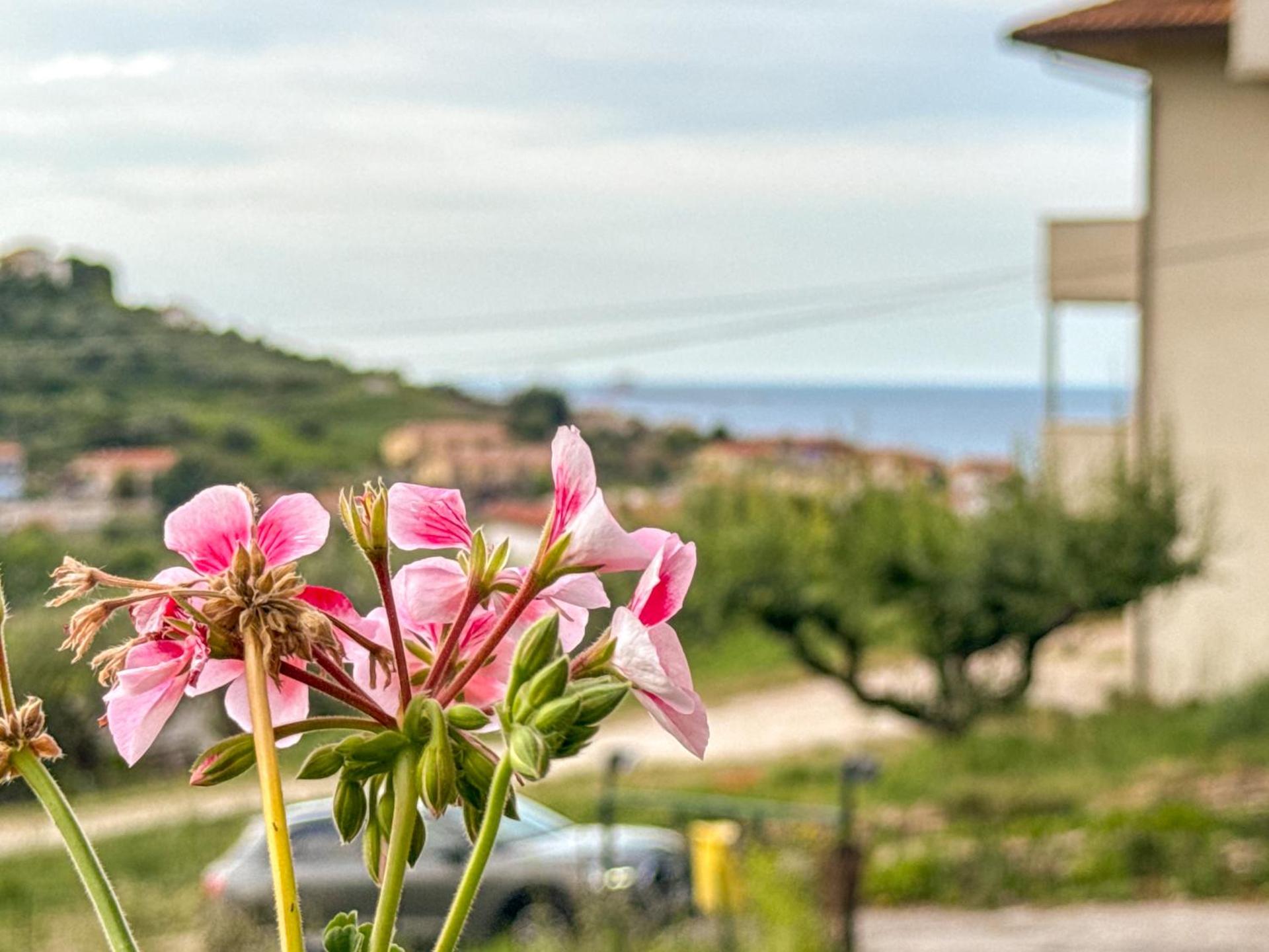 Mare, Monti e Limoni