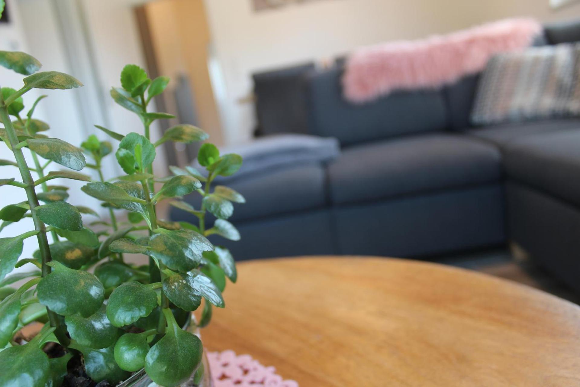 Ferienhaus Seehuis, Sauna, angeln, familienfreundlich