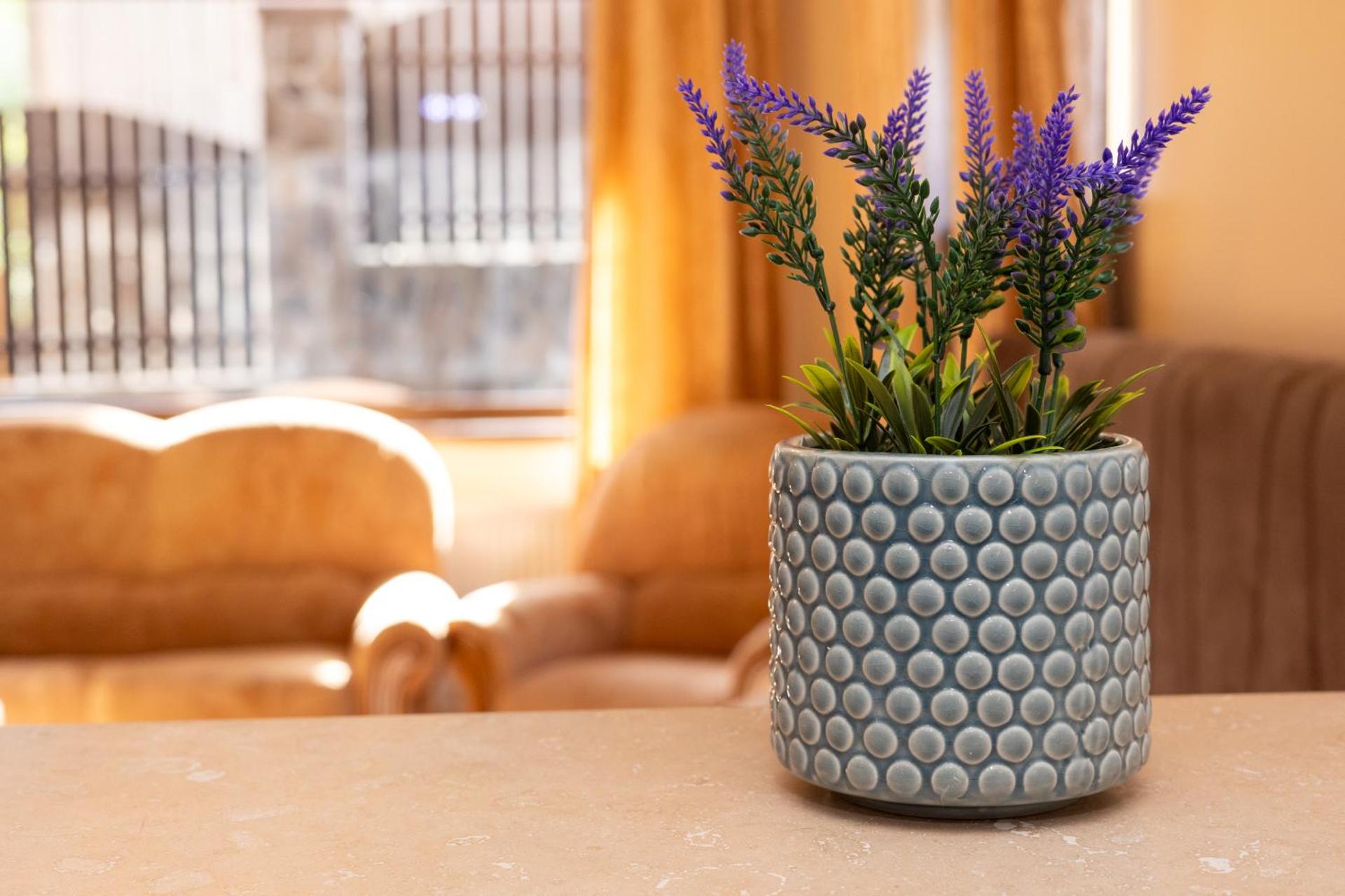 Walter Home Bușteni with Private Terrace