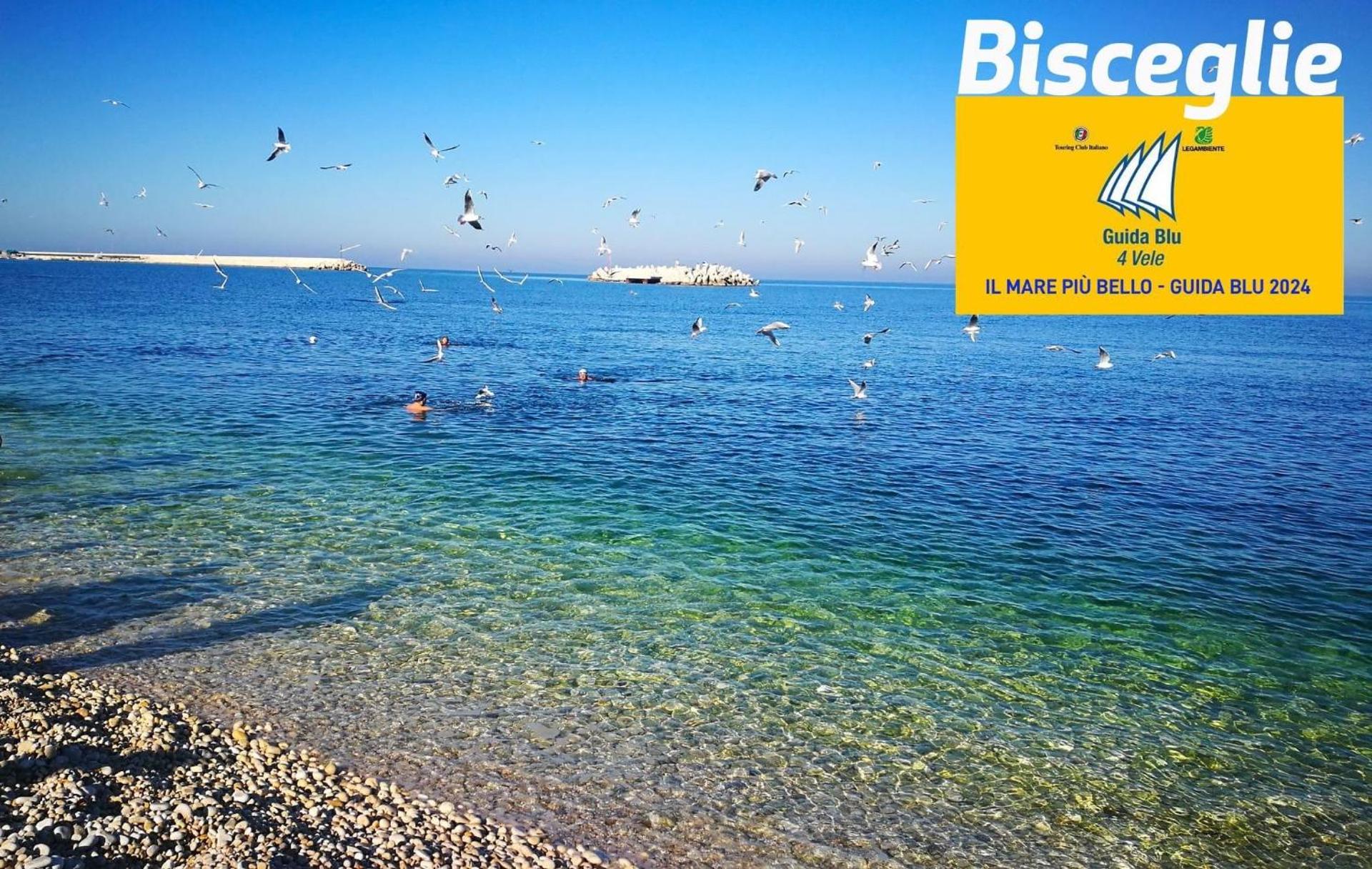 Logo/Certificate/Sign