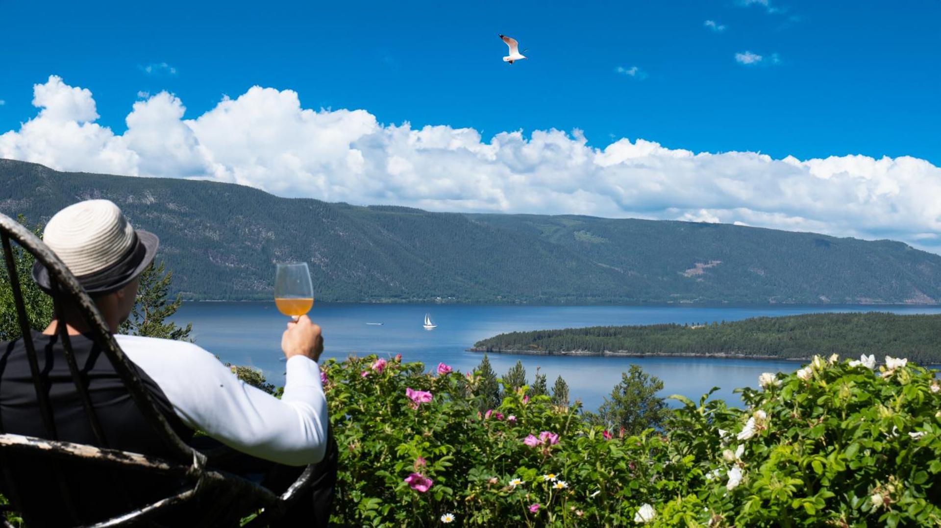Mountain & Lake Haven & Close to Oslo