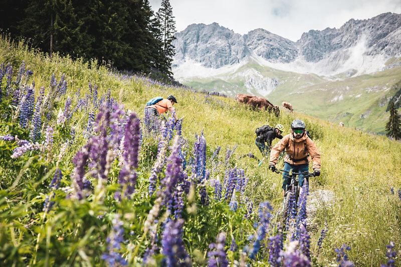 Quality Hosts Arlberg - AFOCH FEI - das Landhaus