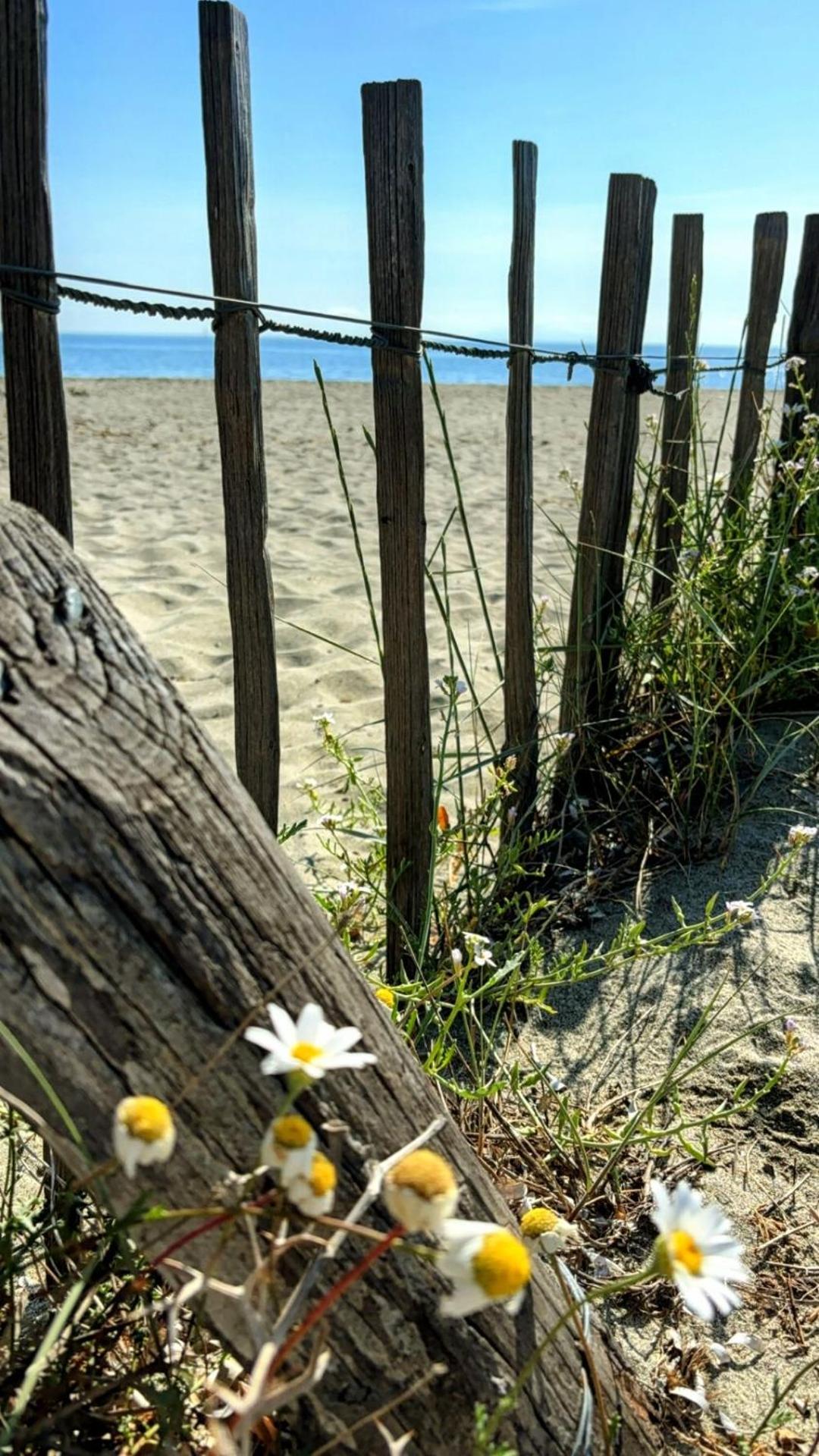 A casetta di l alivu