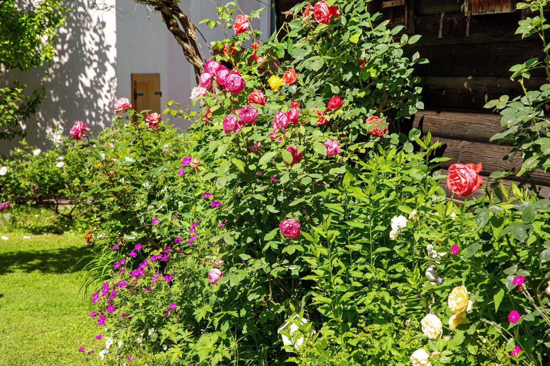 Orserose Chalet 1 La Bilancia