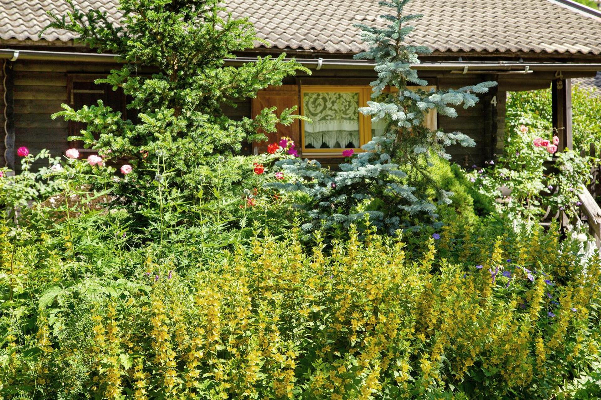 Orserose Chalet 1 La Bilancia