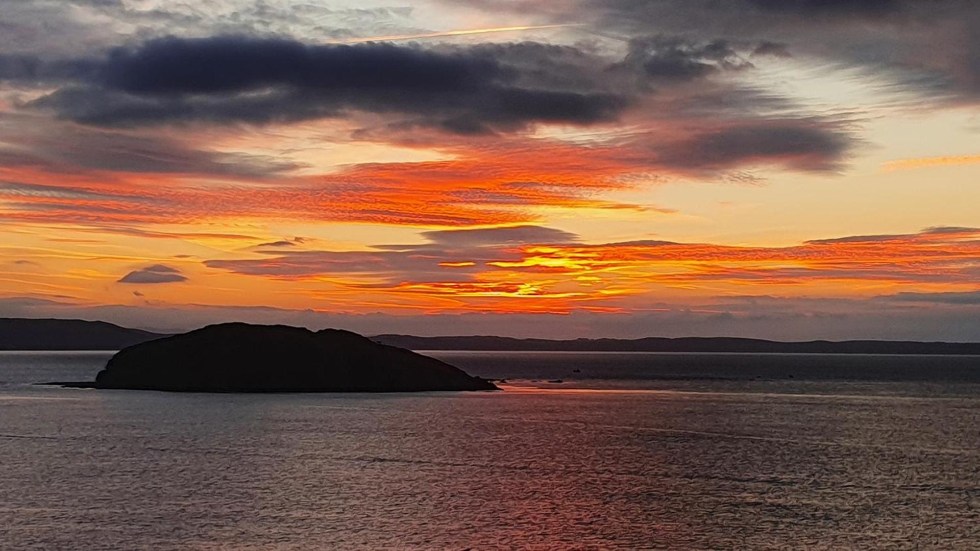 Driftwood in Looe River view and parking