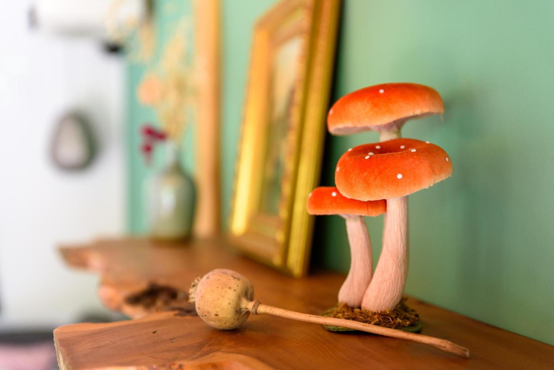 Cozy Tiny House between Veluwe en Veluwemeer - with free use of bikes