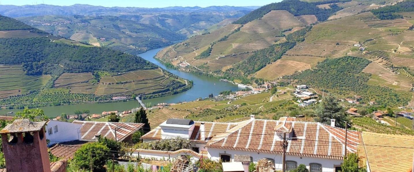 Riba Loivos Village - Casa C - T3