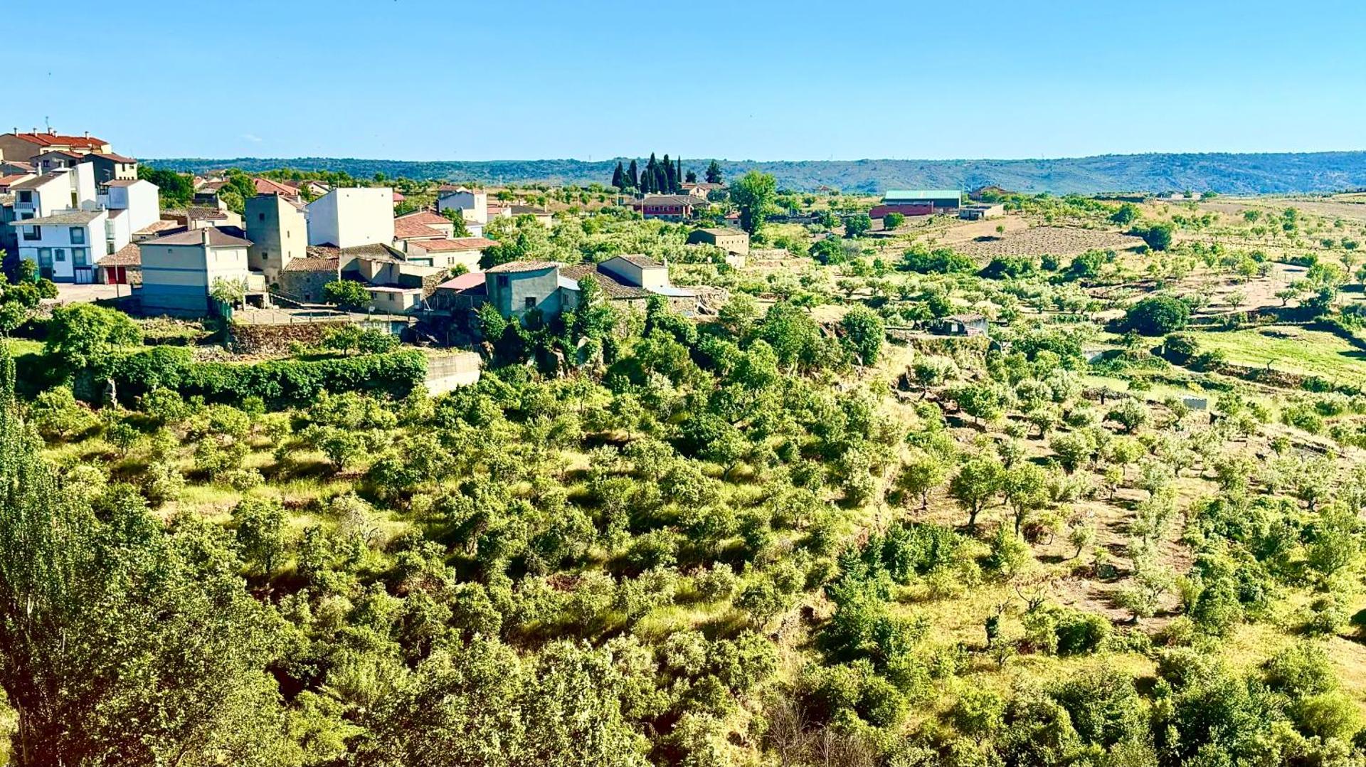 Terraplén Seis Boutique Hotel
