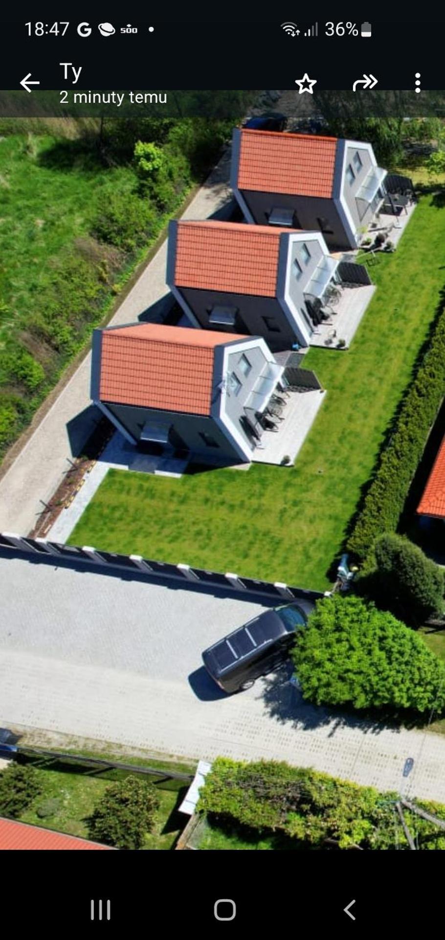 Solo na wyspie, blisko morza Sobieszewo