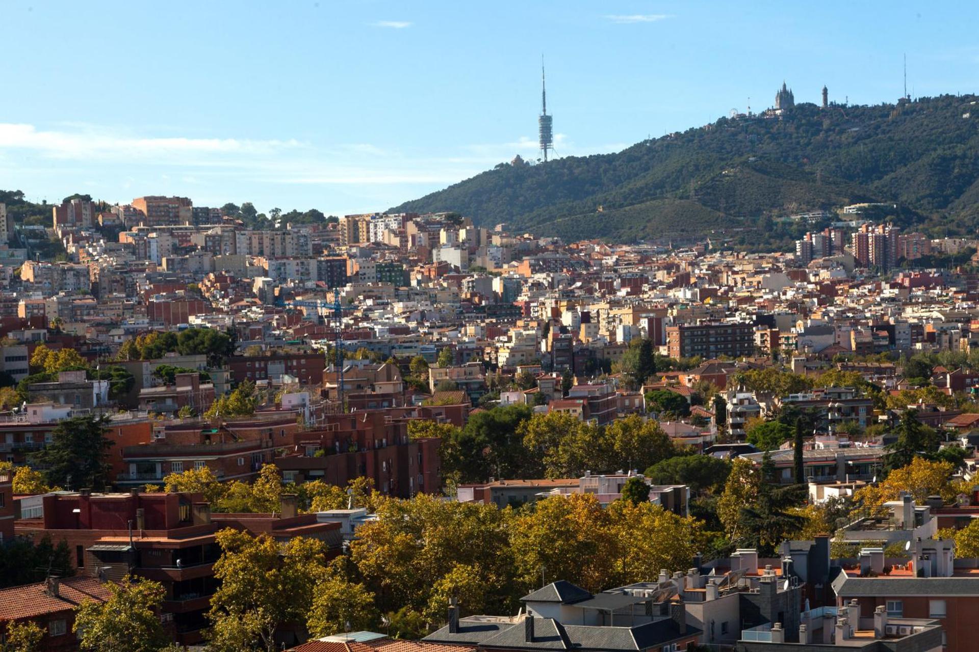 Bed in 8-Bed Mixed Dormitory Room