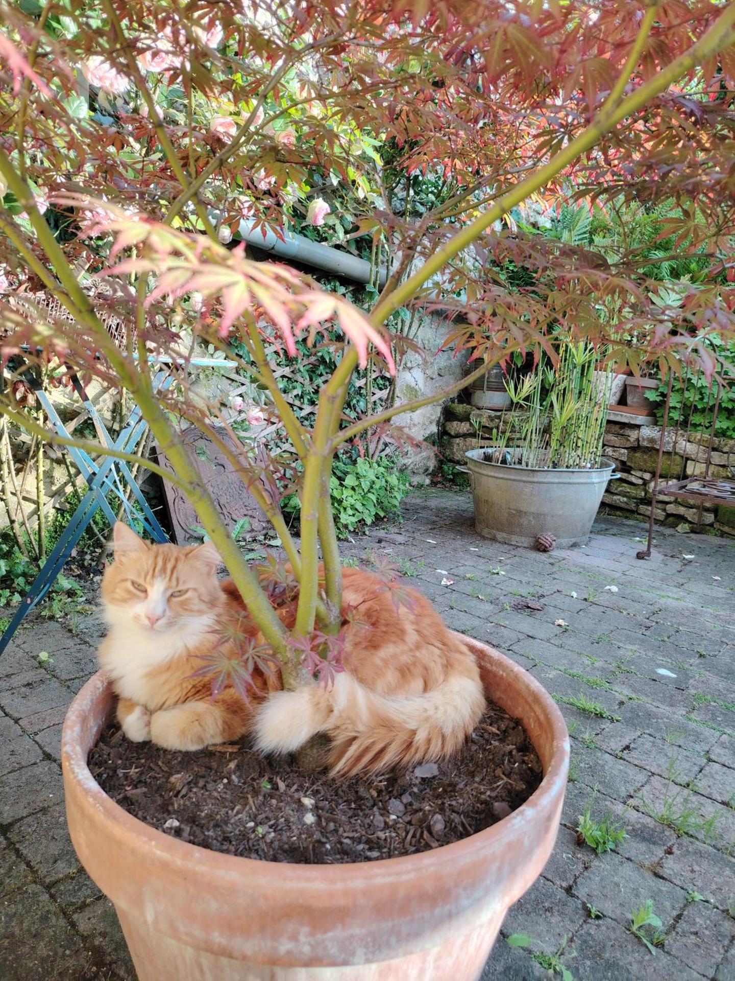 Chambre chez Didier et Corinne