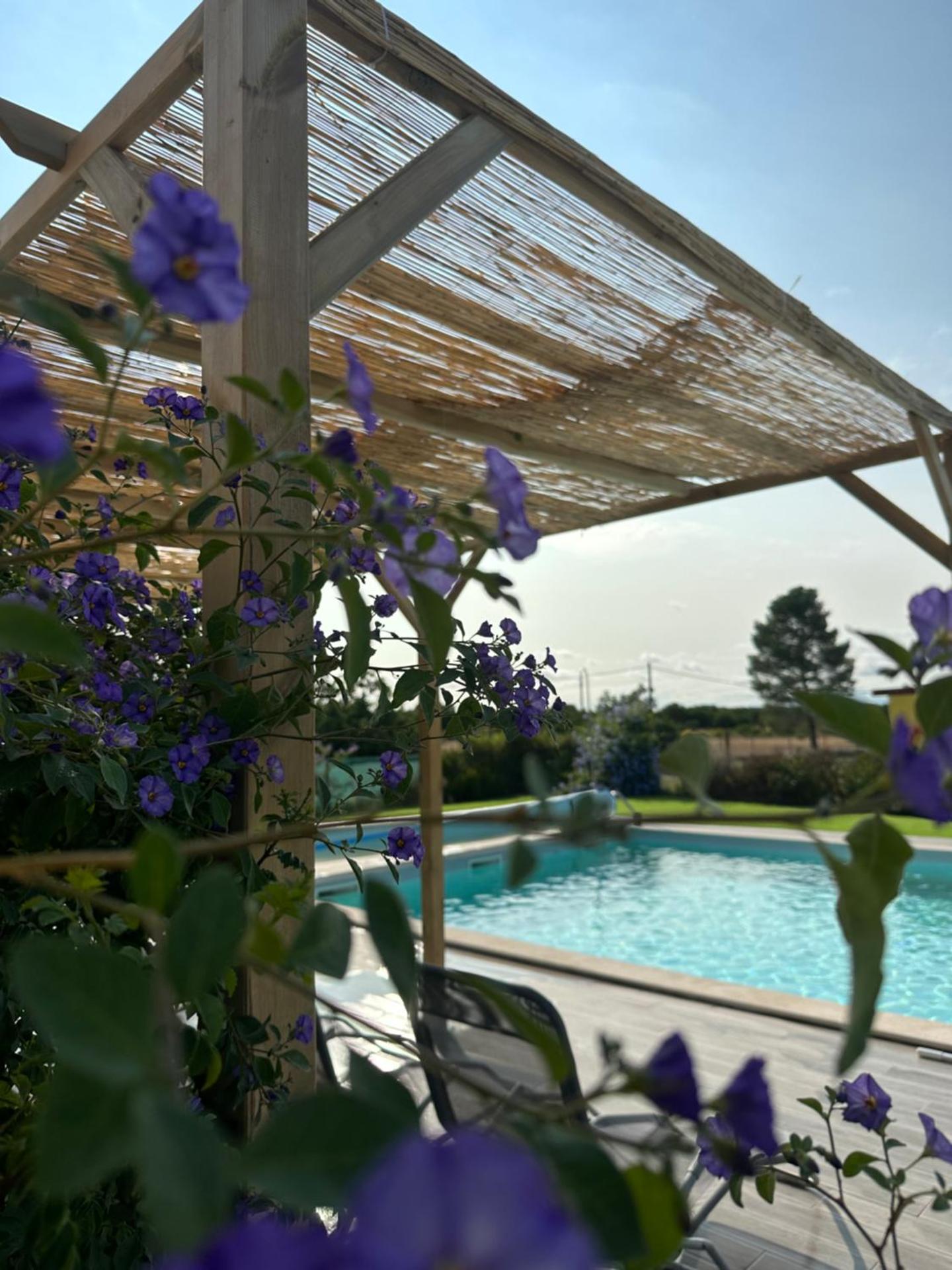 Quinta do Pica-Pau Amarelo