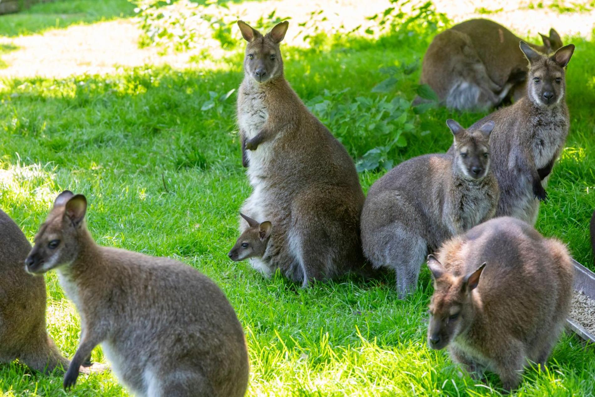 Welcome in - Appartement op de BG, Rustig gelegen met terras