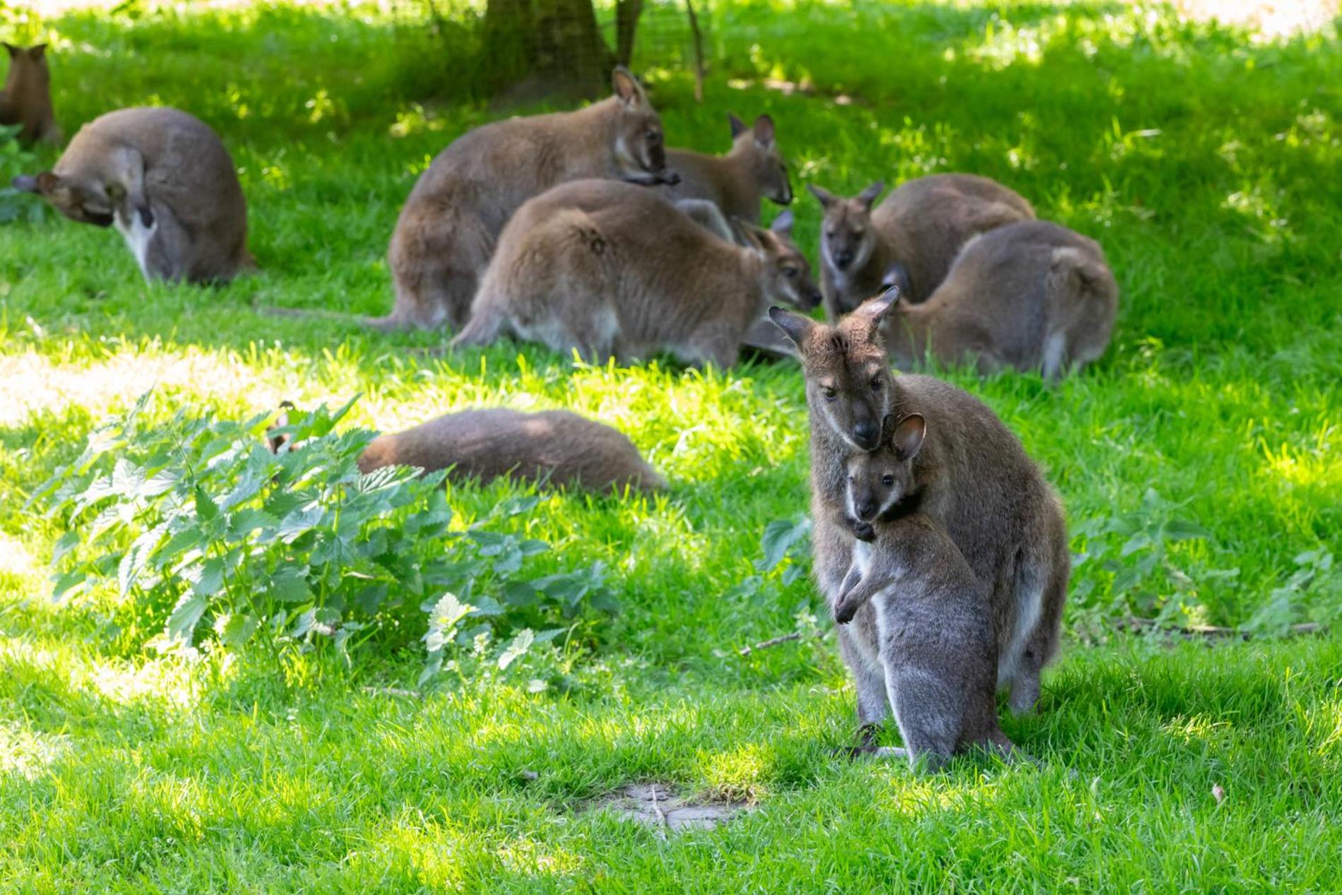 Welcome in - Appartement op de BG, Rustig gelegen met terras