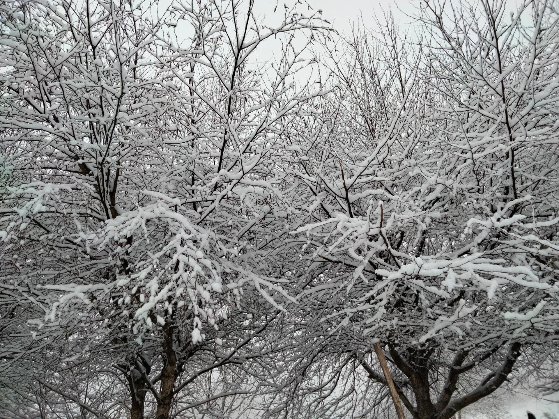 Casa da Emilia do Gerês