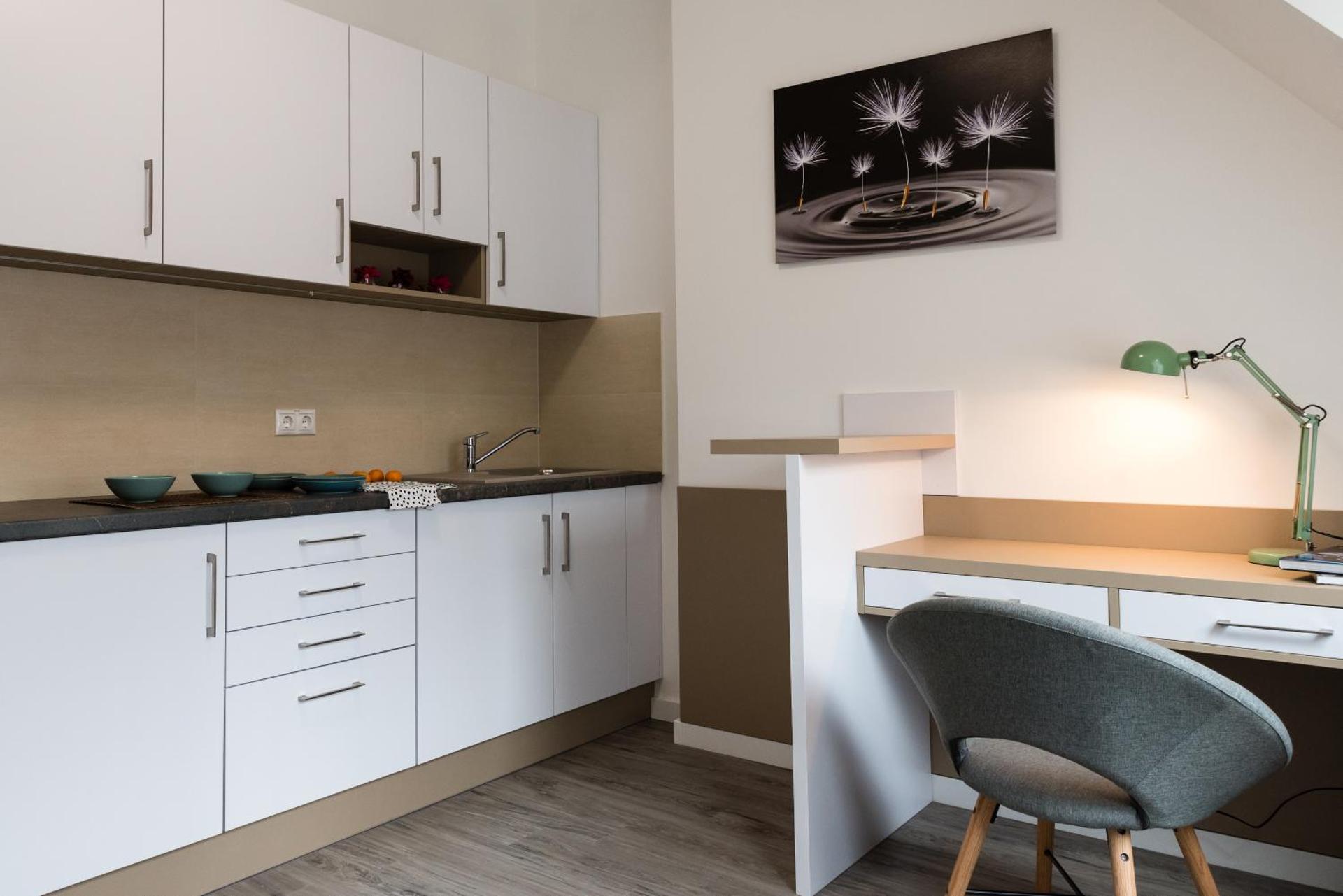 Kitchen or kitchenette