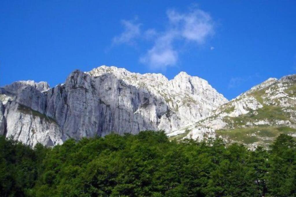 Blue Eyes Centre Free Parking