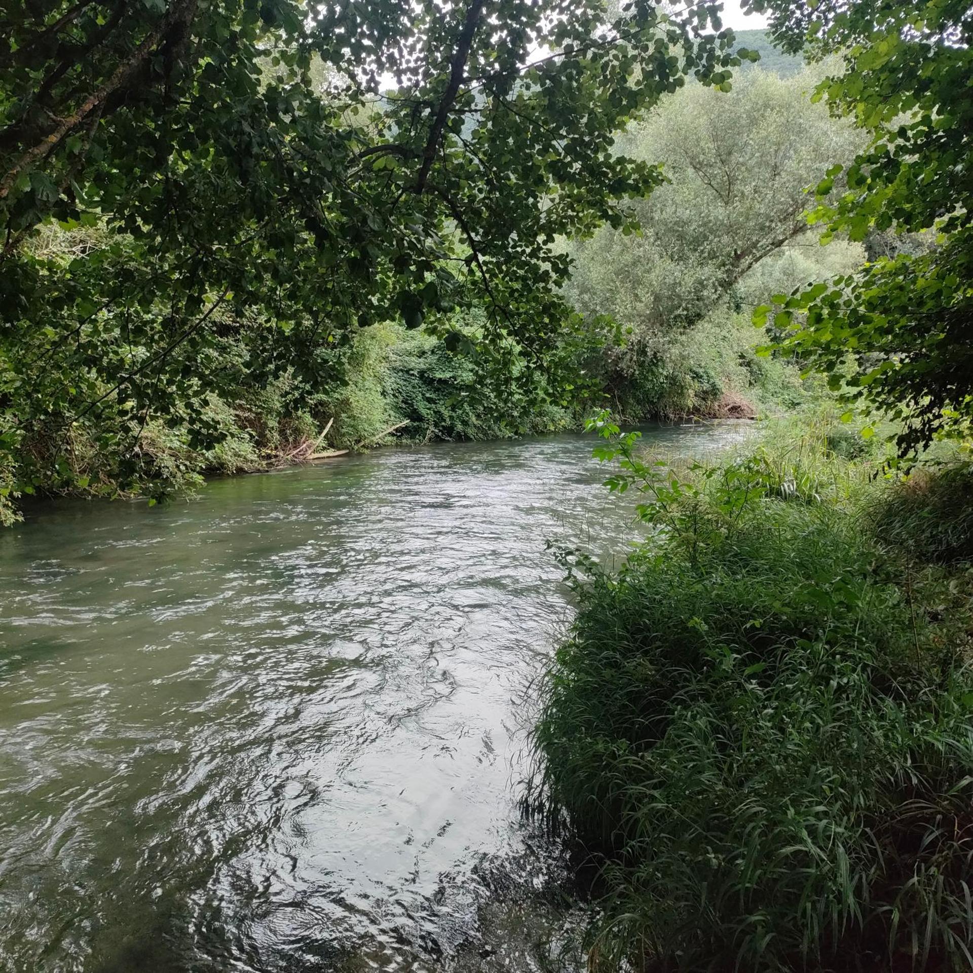 Umbria Valnerina , Il TARTUFFO, sulla via di Francesco