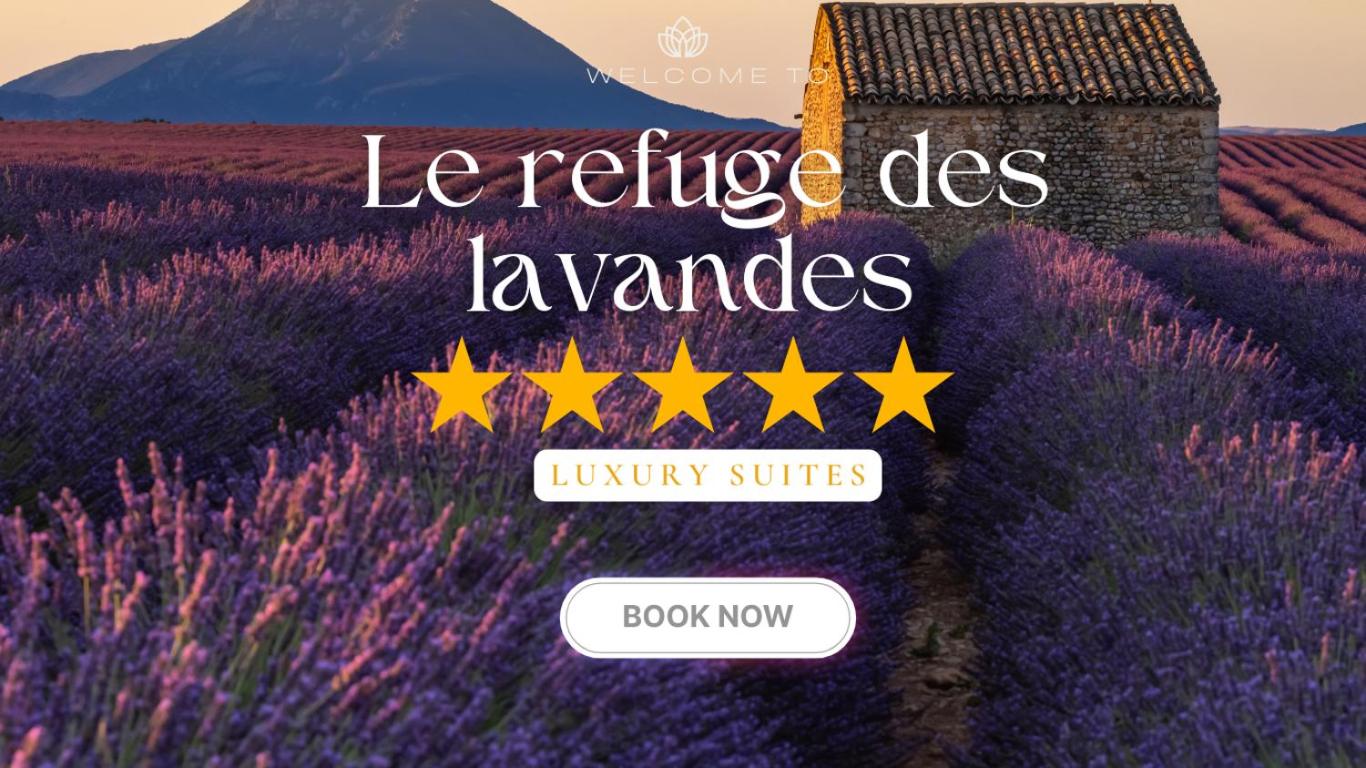 Le King & Suites étoilées