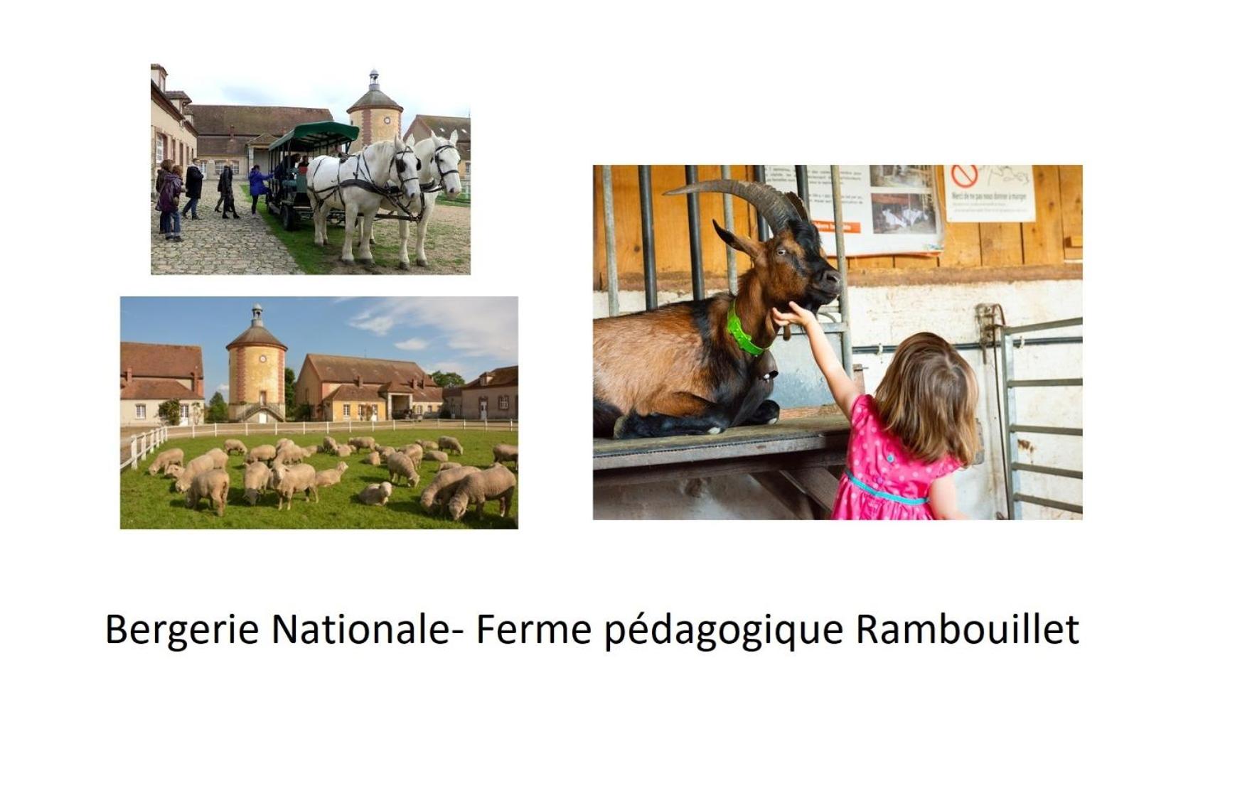 D St-Quentin-en -Yvelines Plusieurs appartements