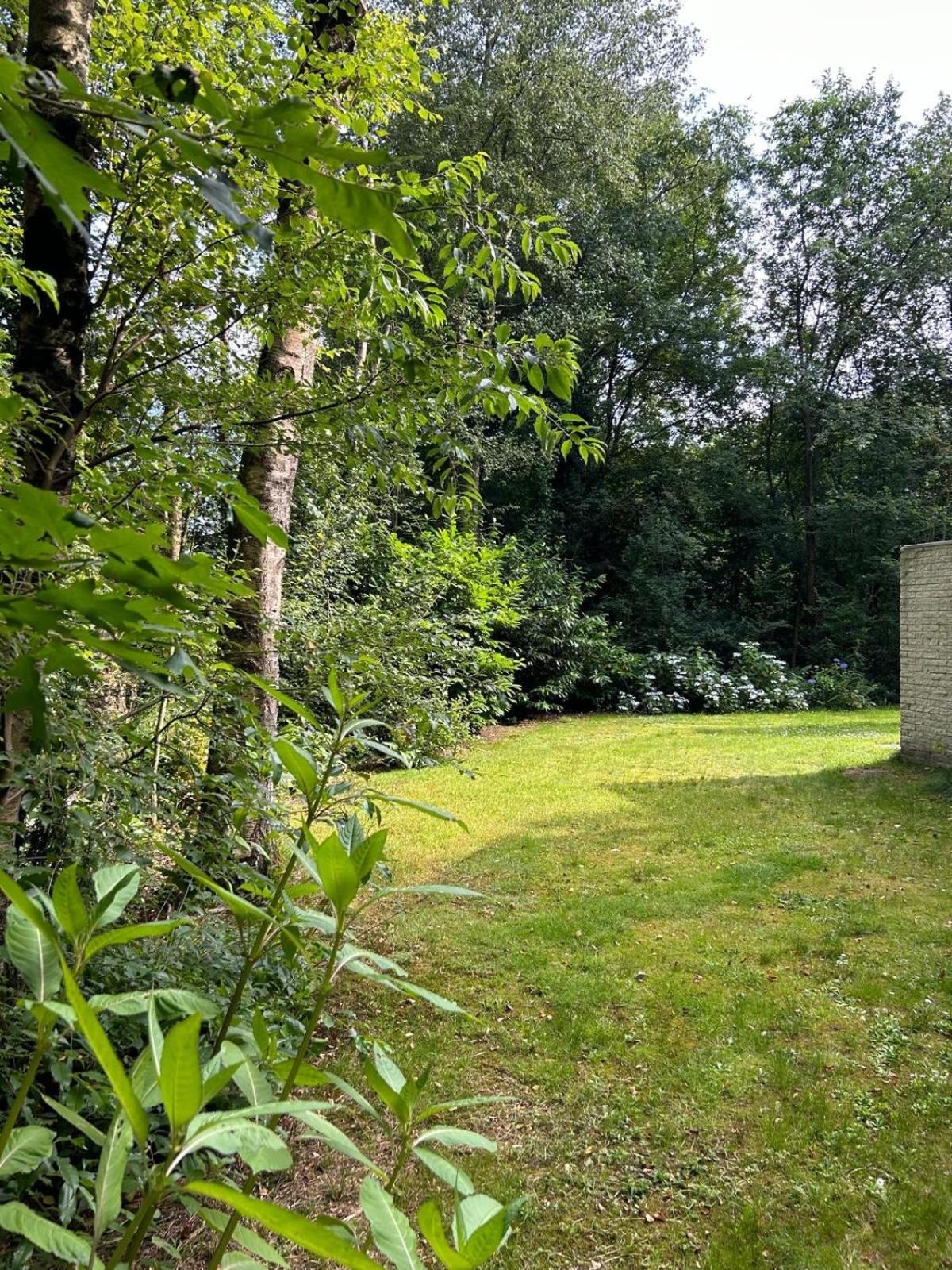 Vrijstaande luxe vakantiewoning met Jacuzzi, grote tuin, veel privacy en prachtige natuur