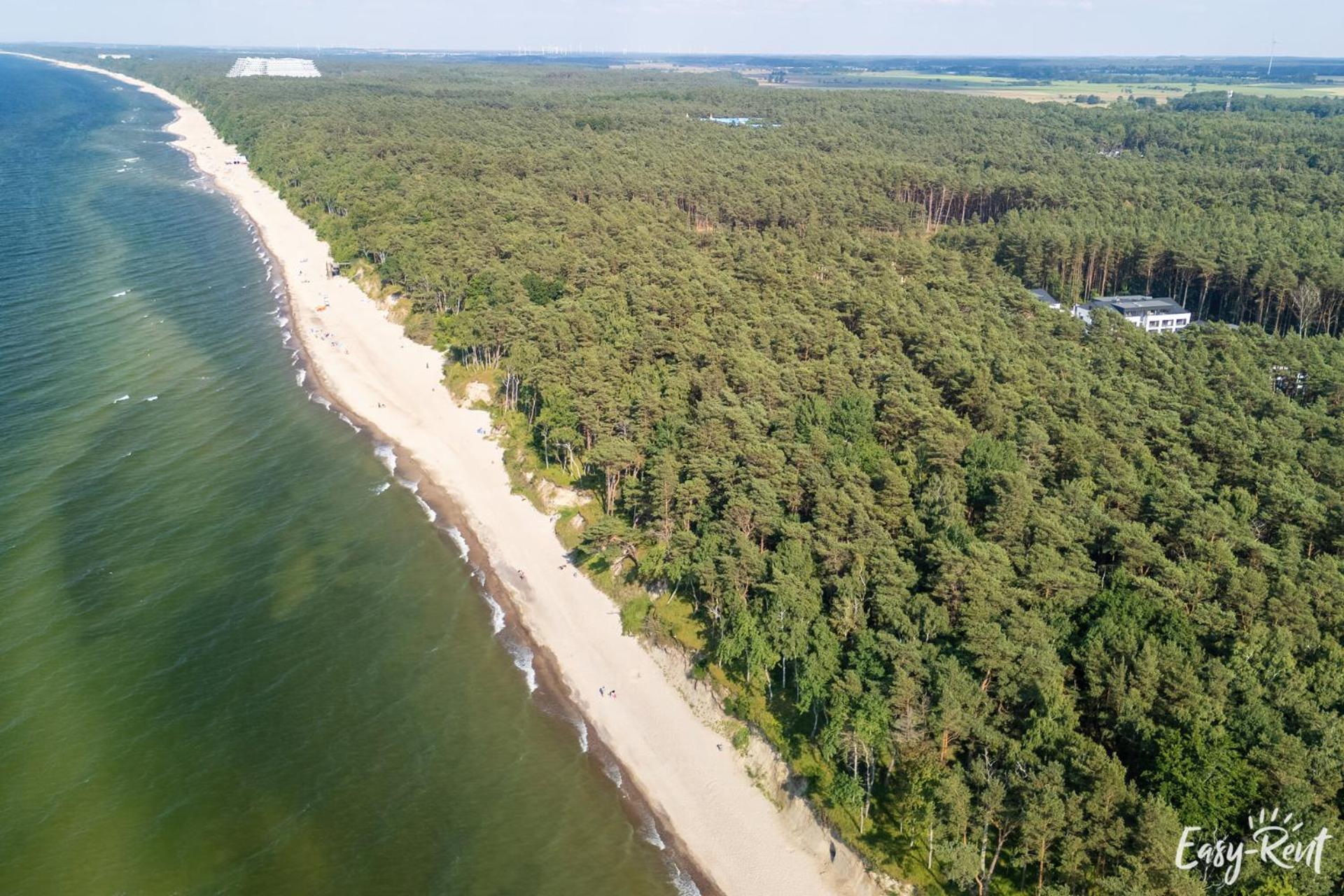 Szumi Sosna - Apartament Studio - Premium - Sea Shell Łukęcin