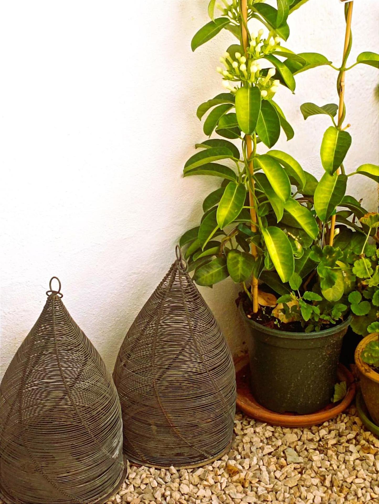 Casa Shyshka country cottage