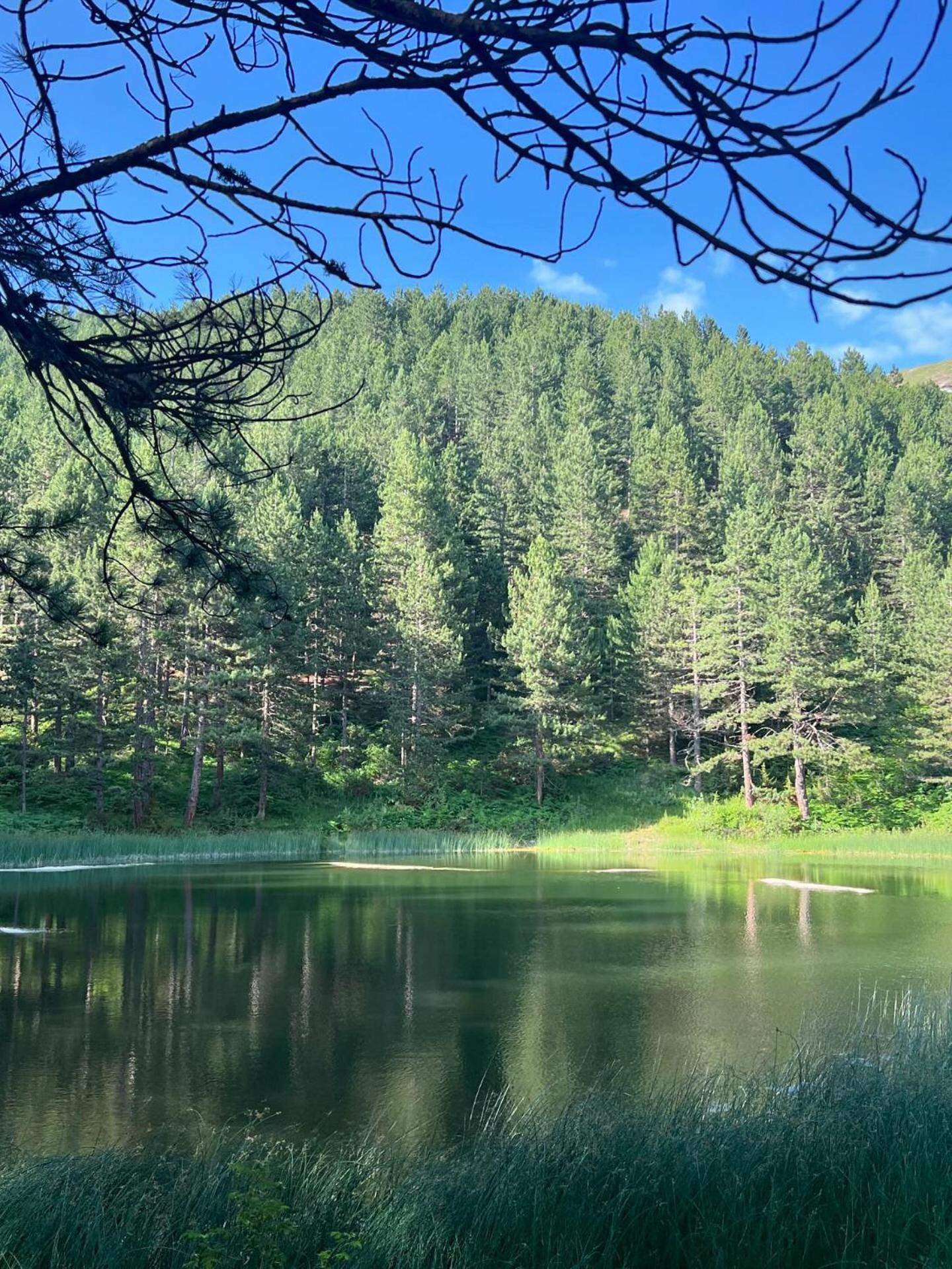 Hotel Restaurant Radomira