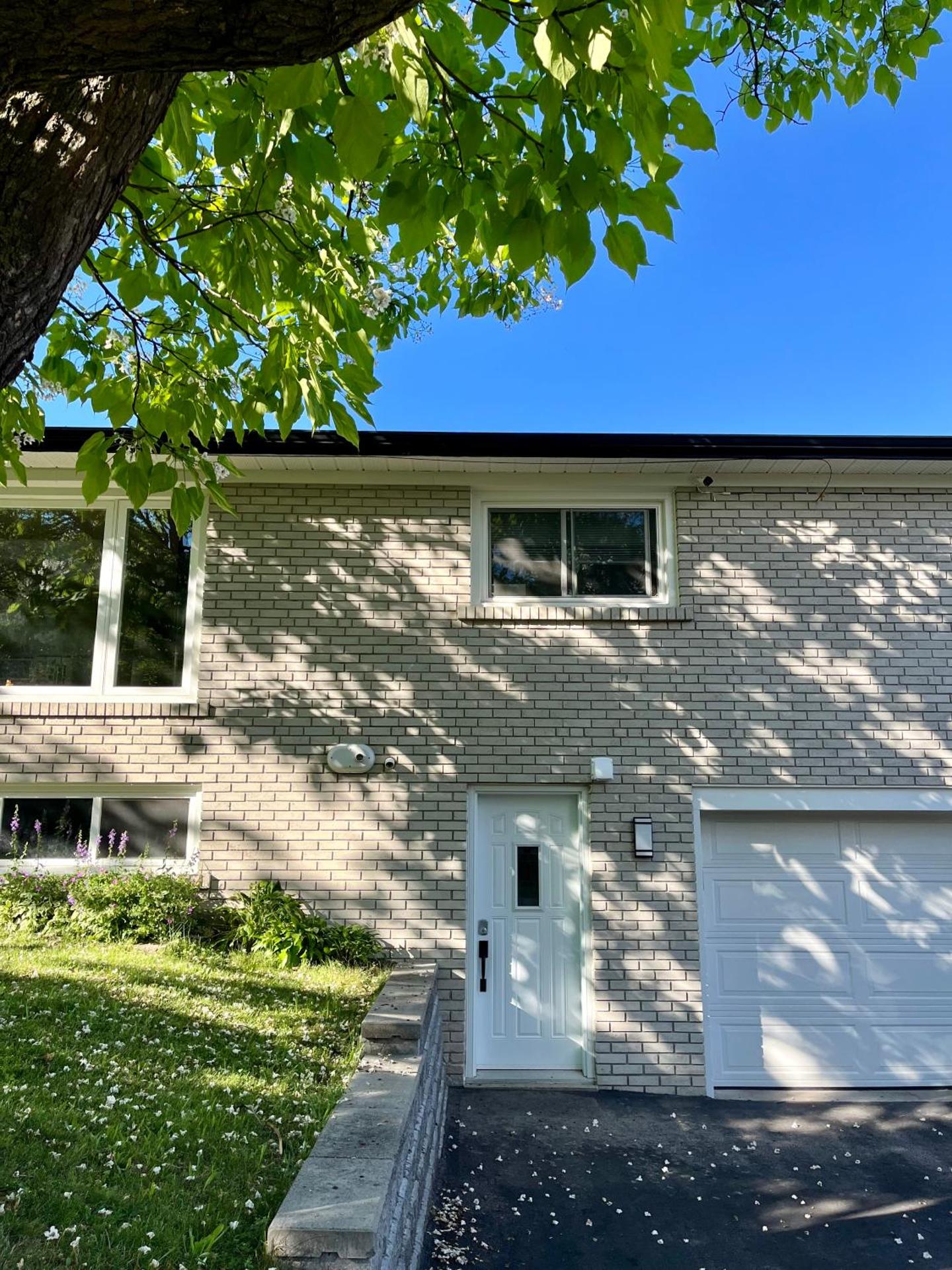 Entire Basement Apartment in Mississauga, Etobicoke