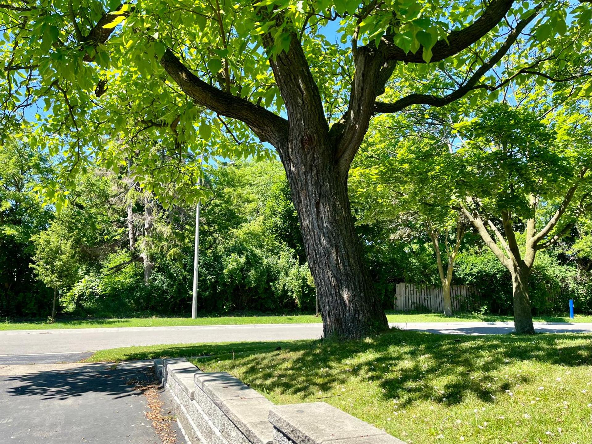 Entire Basement Apartment in Mississauga, Etobicoke