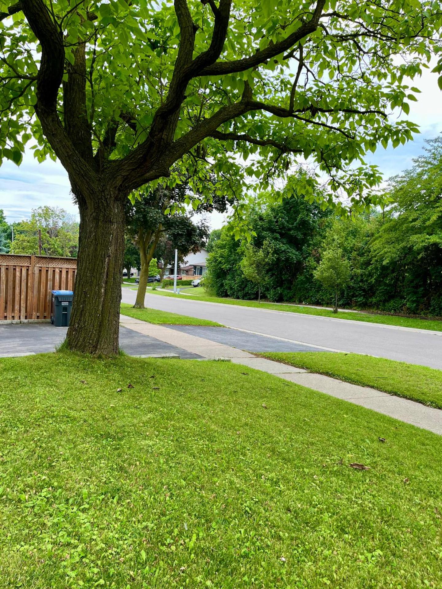 Entire Basement Apartment in Mississauga, Etobicoke