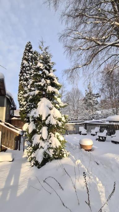 Helmi lähellä keskustaa, remontoitu 2022