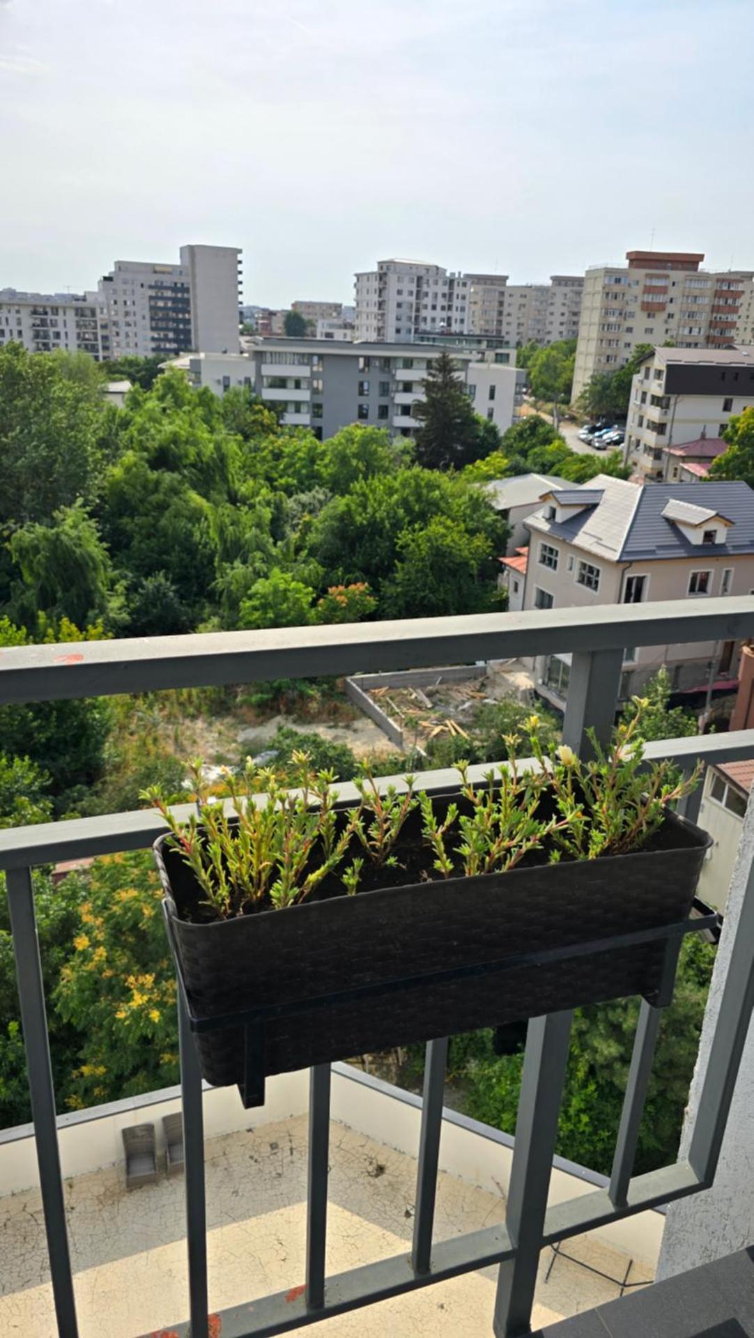 Cosy one bedroom apartment