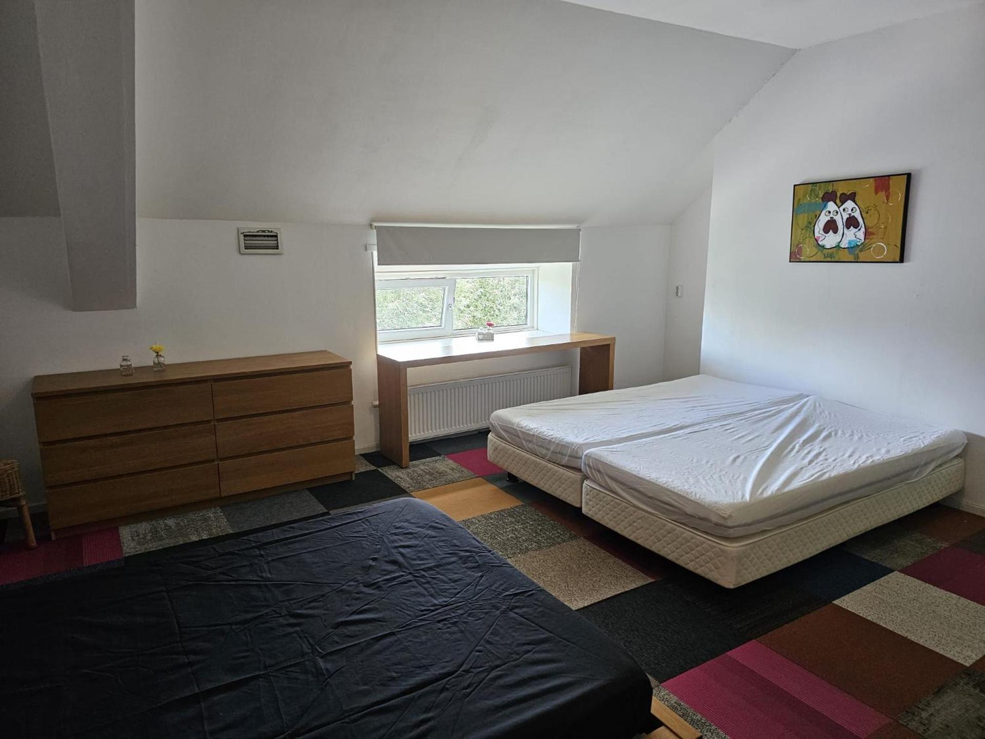 BenB Pieterburen Broek