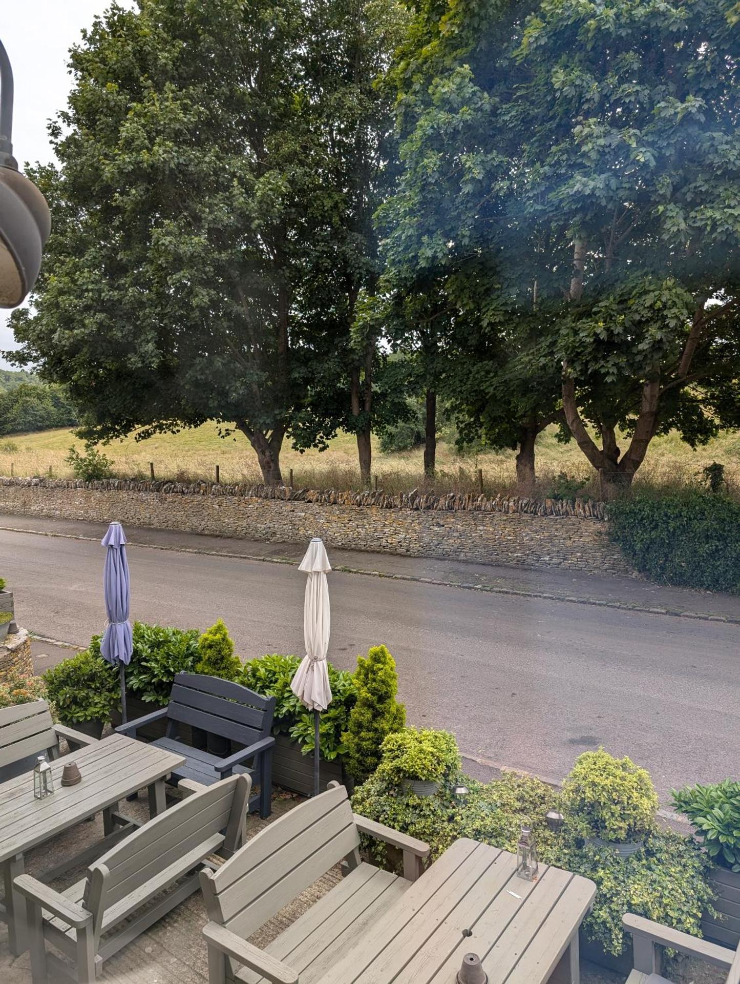 View (from property/room)