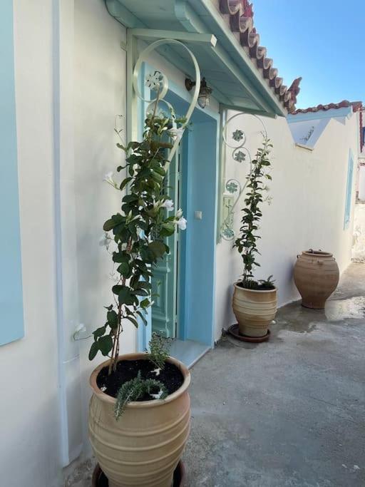 The Captains Residence